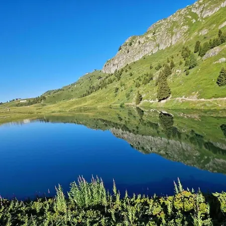 Detached In Valais Views