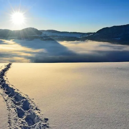 Cozy Near Aletsch * Grengiols