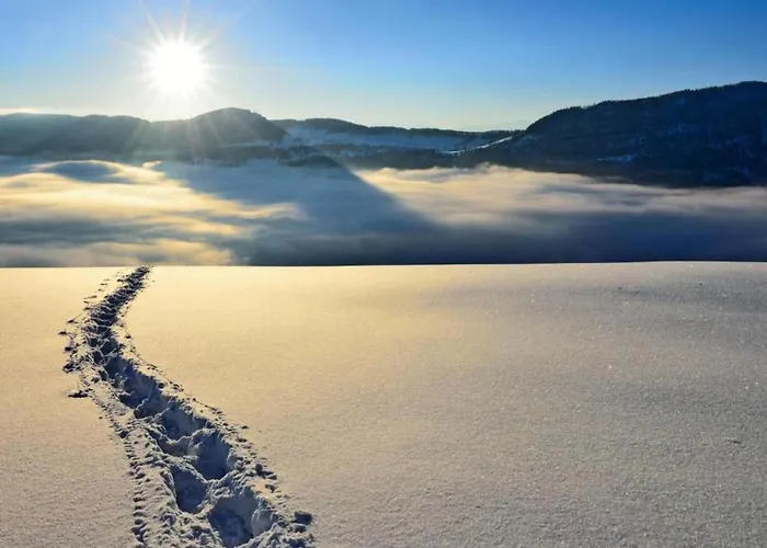 Cozy Near Aletsch * Grengiols