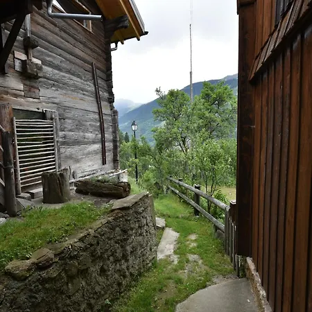 Cozy Near Aletsch *