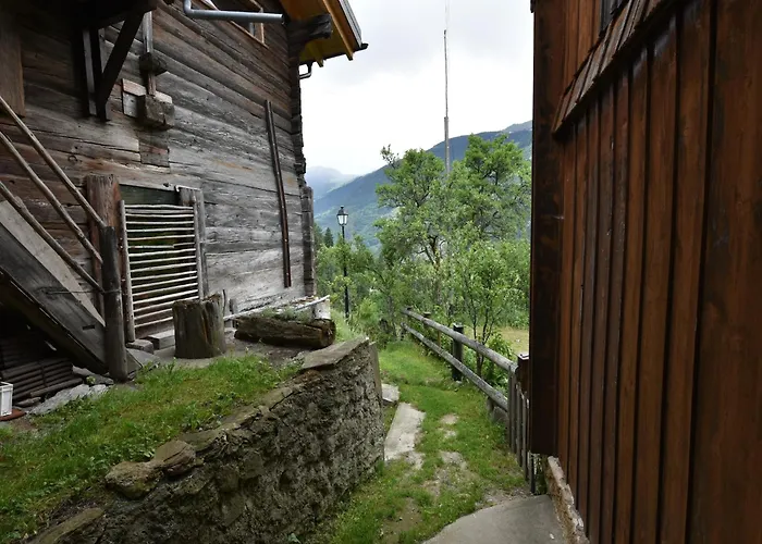 Cozy Near Aletsch *